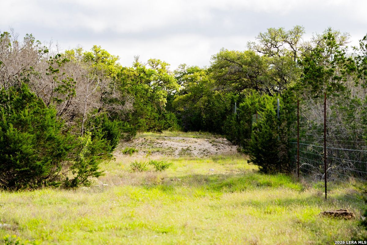 3584 Privilege Creek Road Pipe Creek, TX 78063 - Photo 6 of 44 a swimming pool with trees in the background