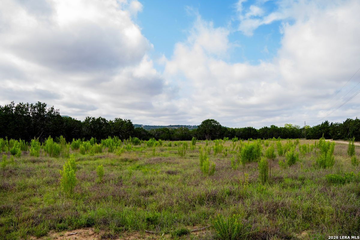 3584 Privilege Creek Road Pipe Creek, TX 78063 - Photo 9 of 44 a view of a lake from a yard