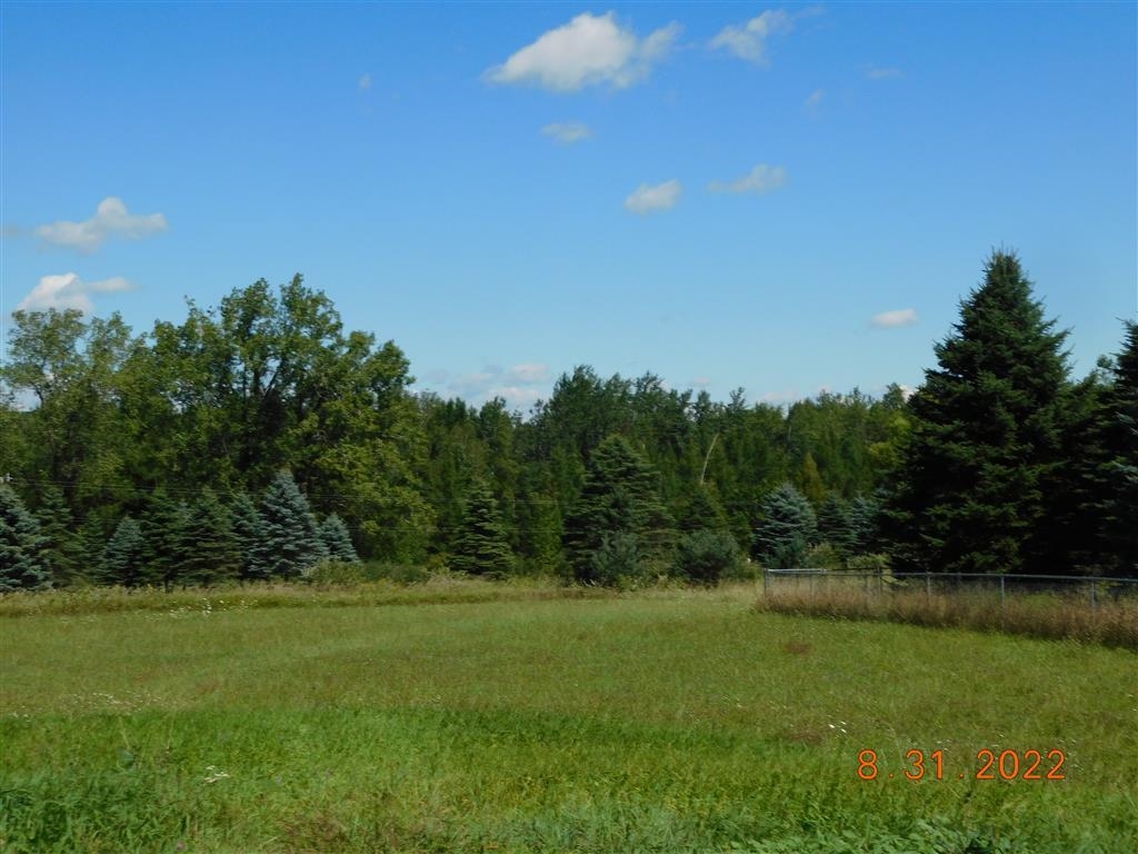 9095 South Wyman Road Blanchard, MI 49310 - Photo 6 of 19
