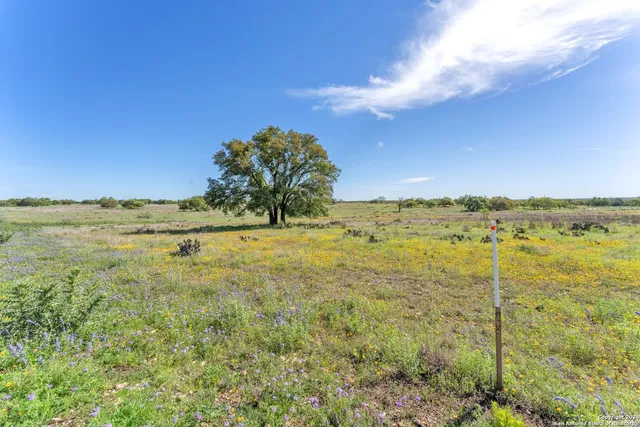a view of a field with beach