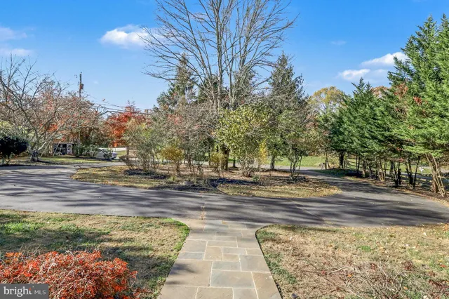 a view of a yard with trees in the background