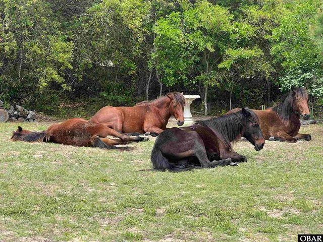 $639,000 | 1620 Sandpiper Road, Corolla, NC 27927