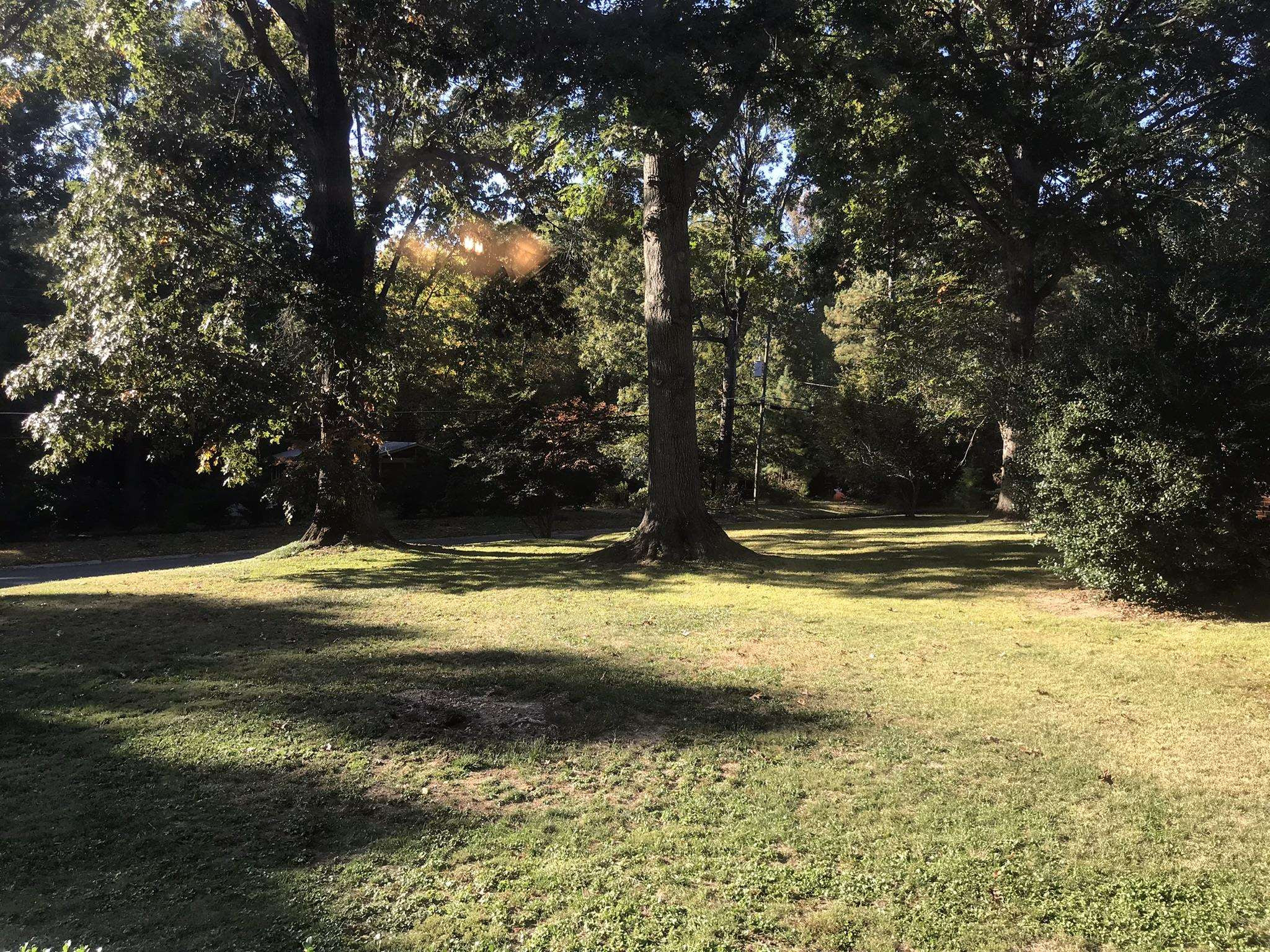 503 East Cornwall Road Cary, NC 27511 - Photo 35 of 36 Photo 37