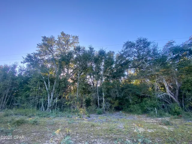 $15,000 | Lot 2 Coronado Avenue, Alford, FL 32420
