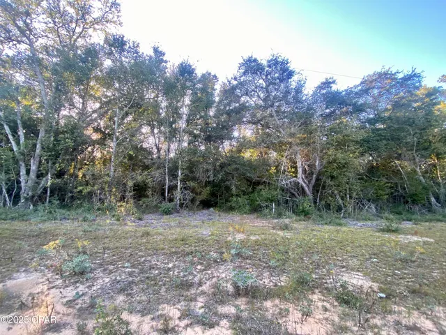 $15,000 | Lot 2 Coronado Avenue, Alford, FL 32420
