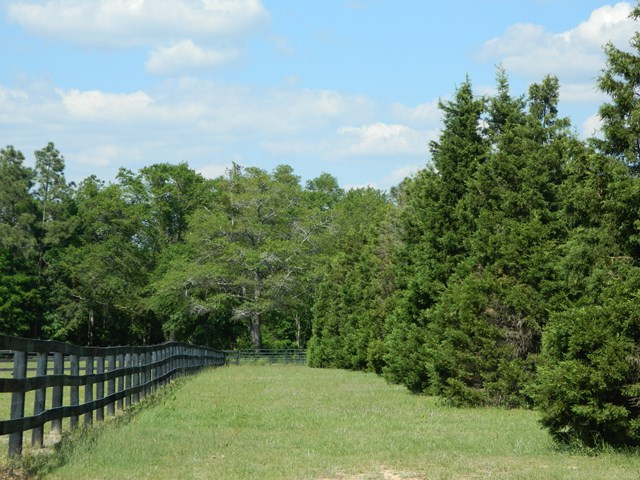 1654 A Shaws Fork Road Aiken, SC 29805 - Photo 41 of 46