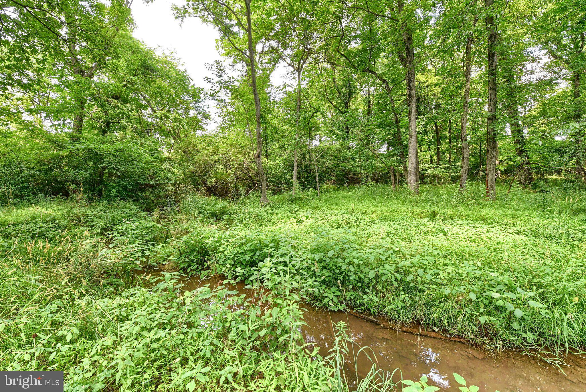 3740 Beagle Road Middletown, PA 17057 - Photo 43 of 70 creek on property
