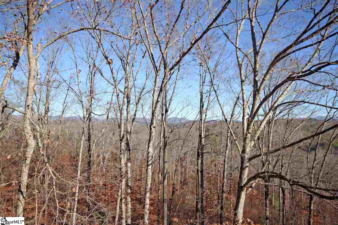 449 Talley Bridge Road Marietta, SC 29661 - Photo 2 of 34