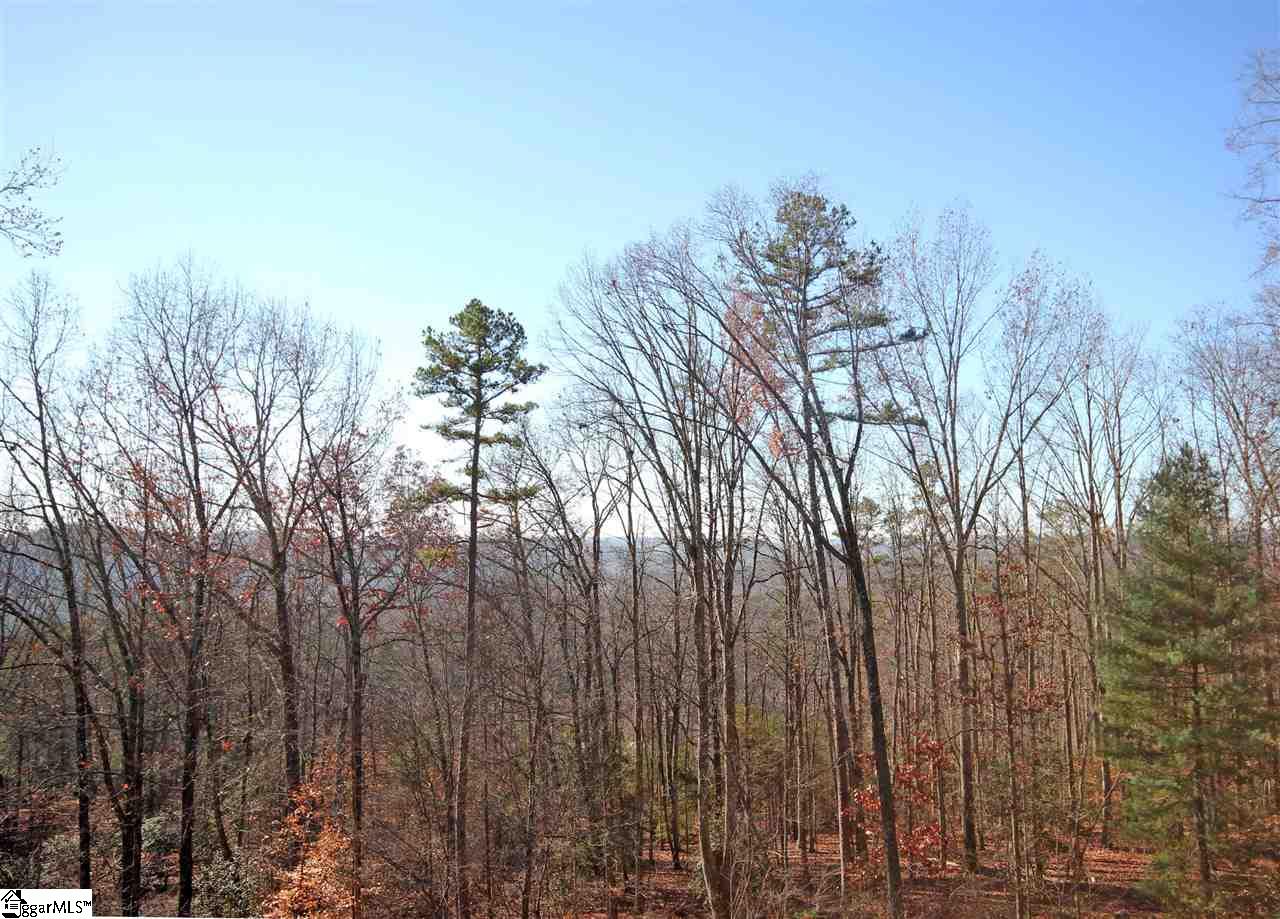 449 Talley Bridge Road Marietta, SC 29661 - Photo 31 of 34