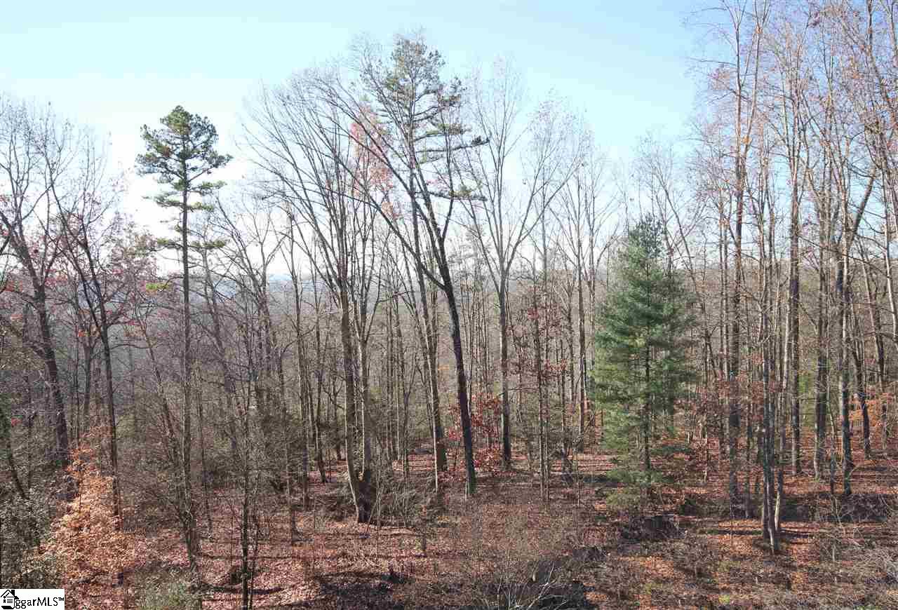 449 Talley Bridge Road Marietta, SC 29661 - Photo 34 of 34