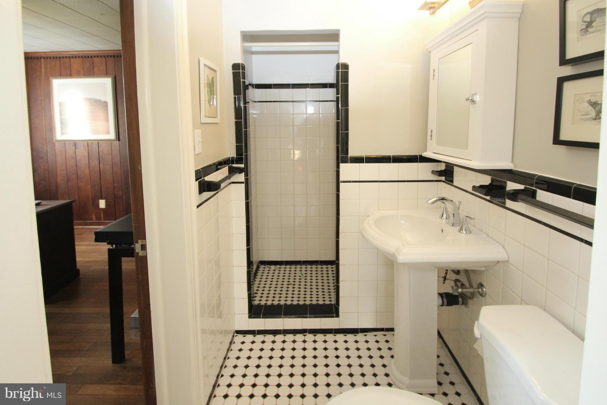 10314 Naglee Road Silver Spring, MD 20903 - Photo 15 of 30 a bathroom with a sink a mirror and a shower