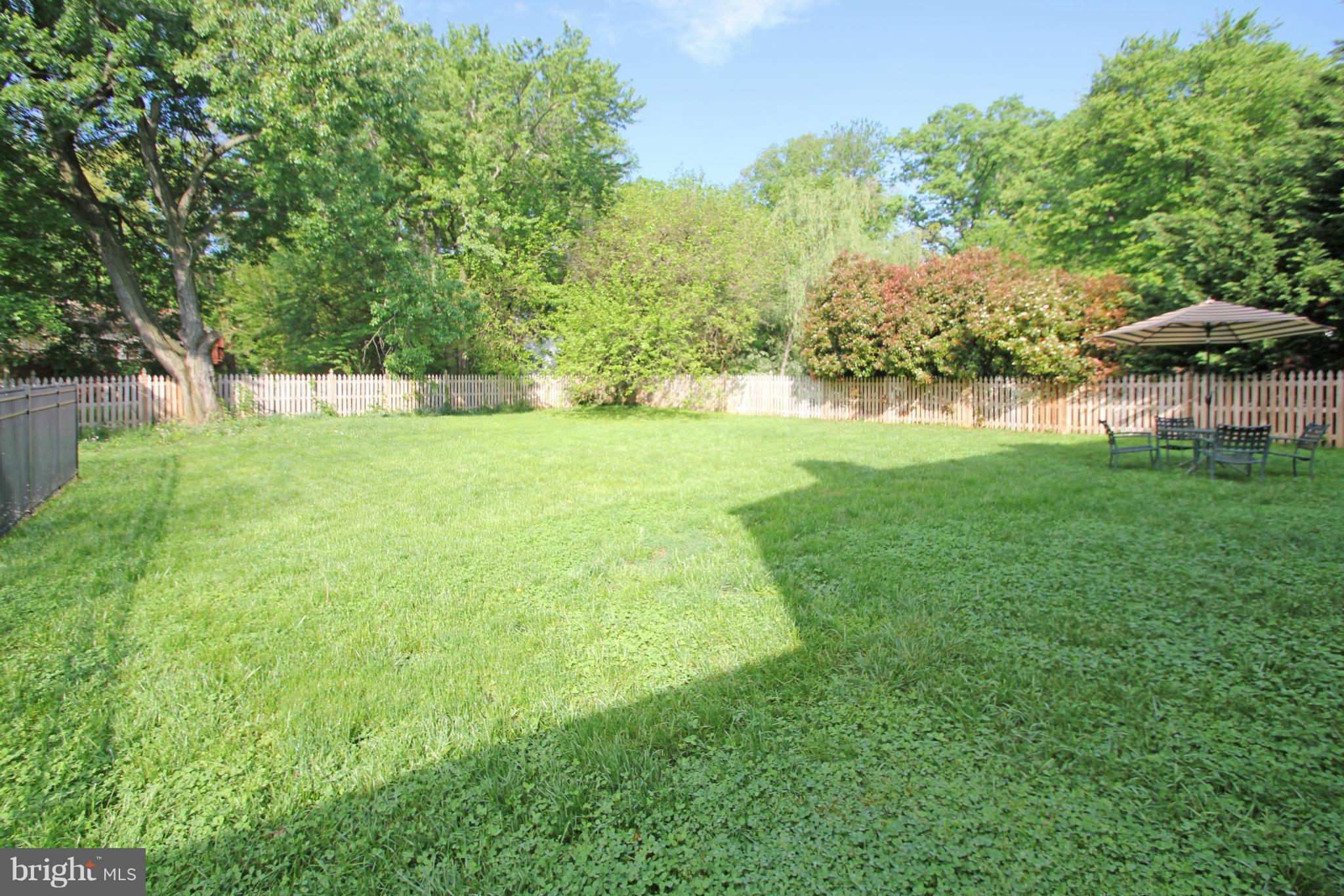 10314 Naglee Road Silver Spring, MD 20903 - Photo 30 of 30 a view of yard with green space