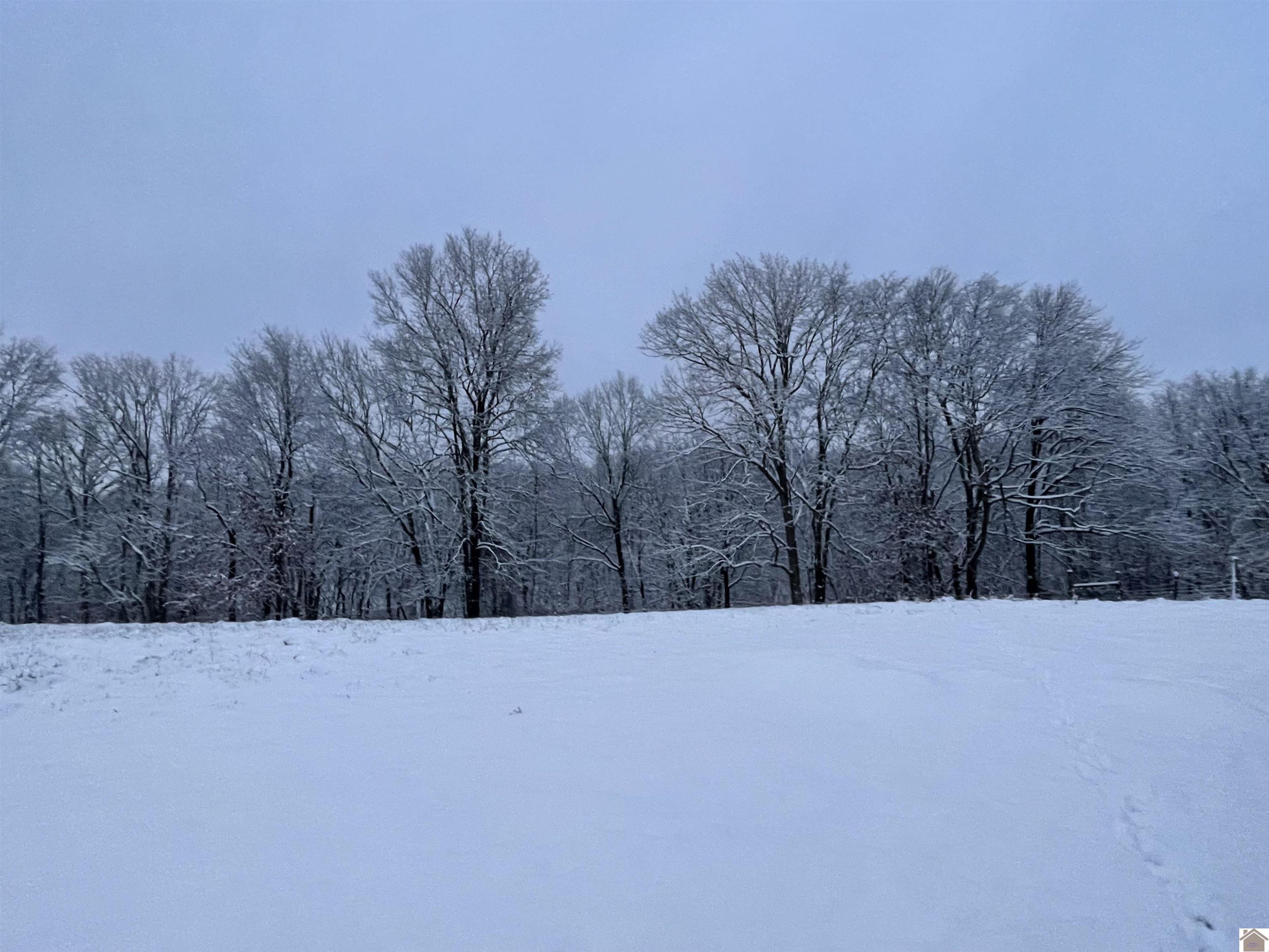 782 Bid Southern Road Tiline, KY 42083 - Photo 43 of 47 Winter scene