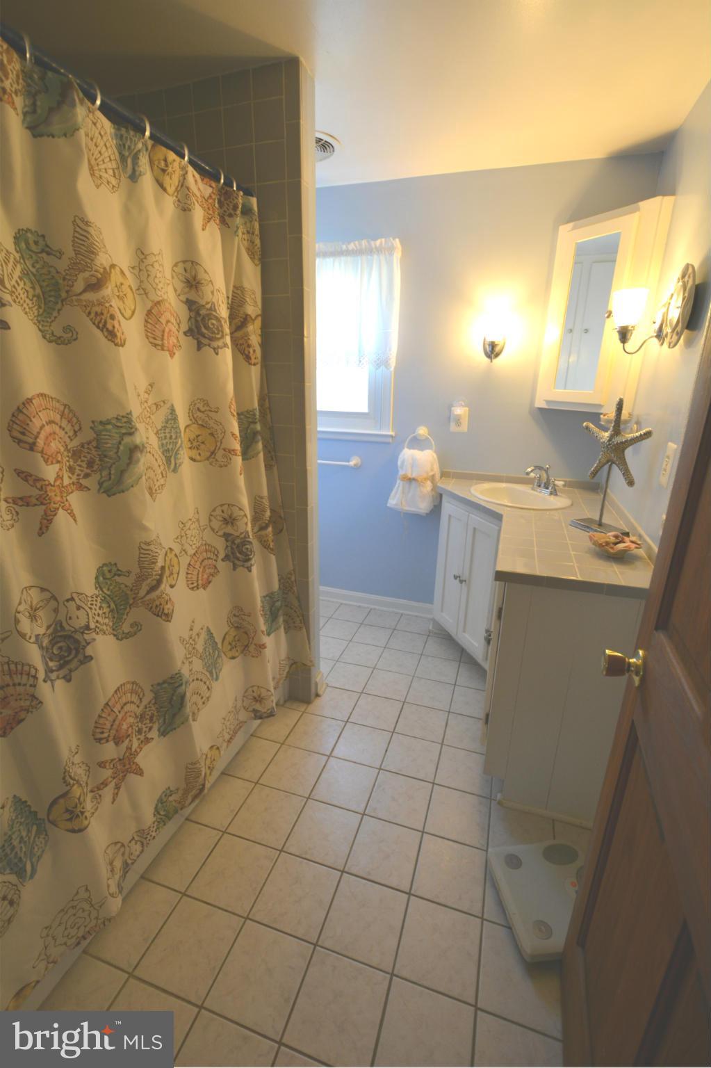 206 Utah Road Stevensville, MD 21666 - Photo 14 of 30 Bath (Master)