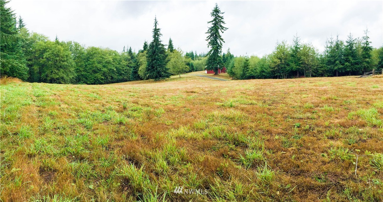 156 Richter Road Raymond, WA 98577 - Photo 23 of 24 Gallery Image 23