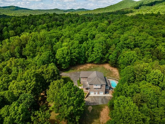 1190 Maple Grove Road Morganton, GA 30560 - Photo 2 of 96