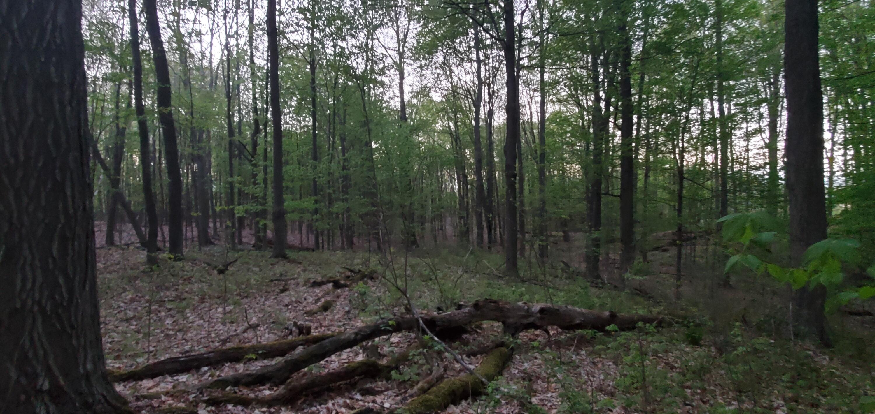 200 13 Mile Road Northeast Sparta, MI 49345 - Photo 5 of 10 20210505_205752