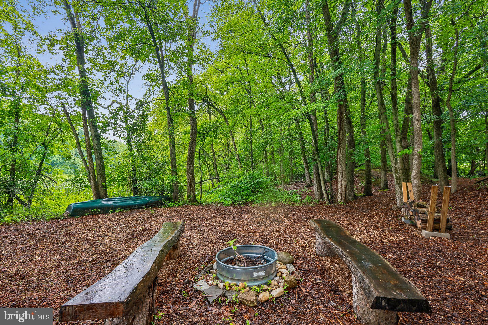 116 Mulberry Street Delran, NJ 08075 - Photo 23 of 32 a view of a backyard with plants and trees