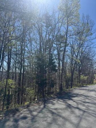 $15,000 | Lot 21 Stoney Point Circle, Rocky Face, GA 30740