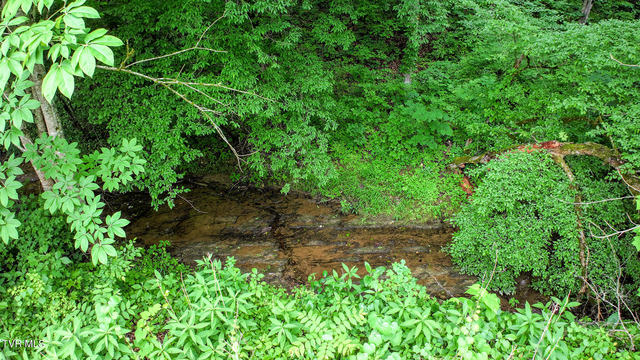 103 Vinson Hollow Road Newport, TN 37821 - Photo 5 of 41 DJI_20260521044154_0106_D