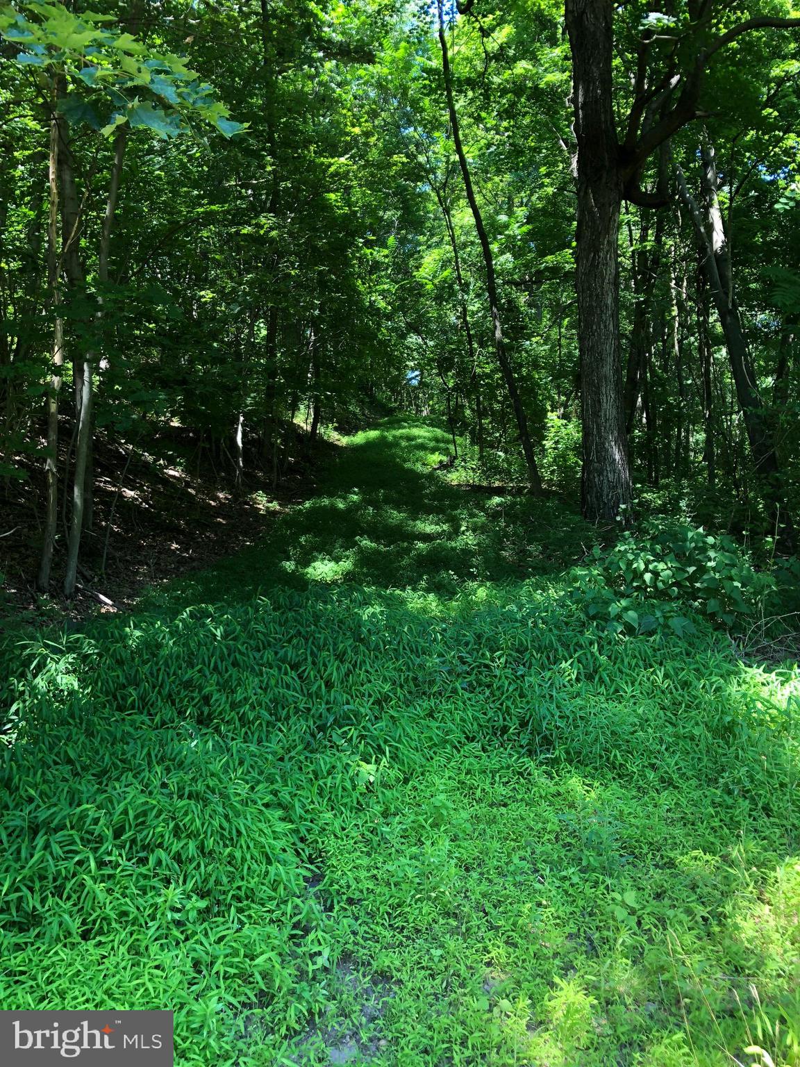 following this trail will lead to the property
