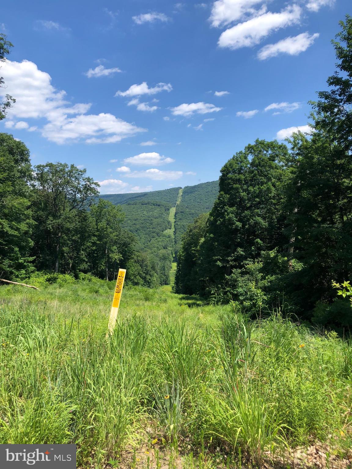 view from the bottom of trail leading to property