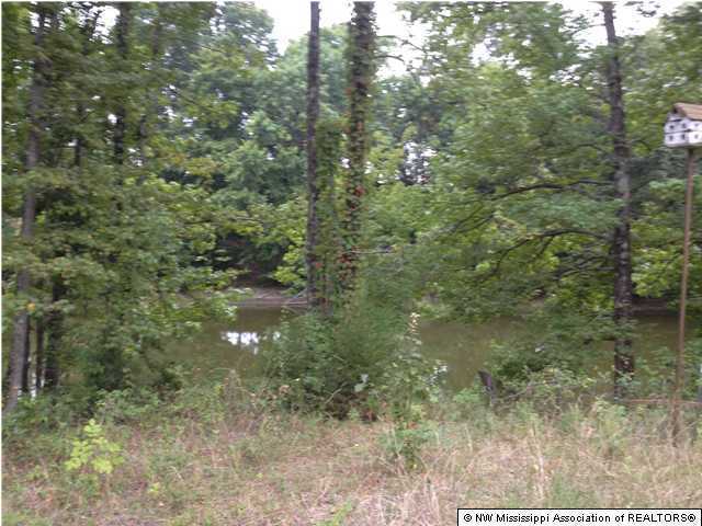 9365 Newell Road Lake Cormorant, MS 38641 - Photo 3 of 4 Additional Photo