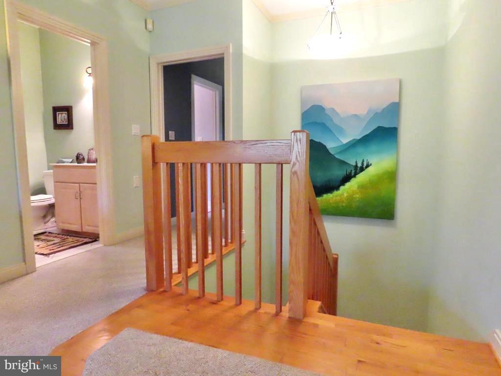 3016 Etlan Road Etlan, VA 22719 - Photo 28 of 42 Down To Family Room (Hall 1/2 bath seen to left)