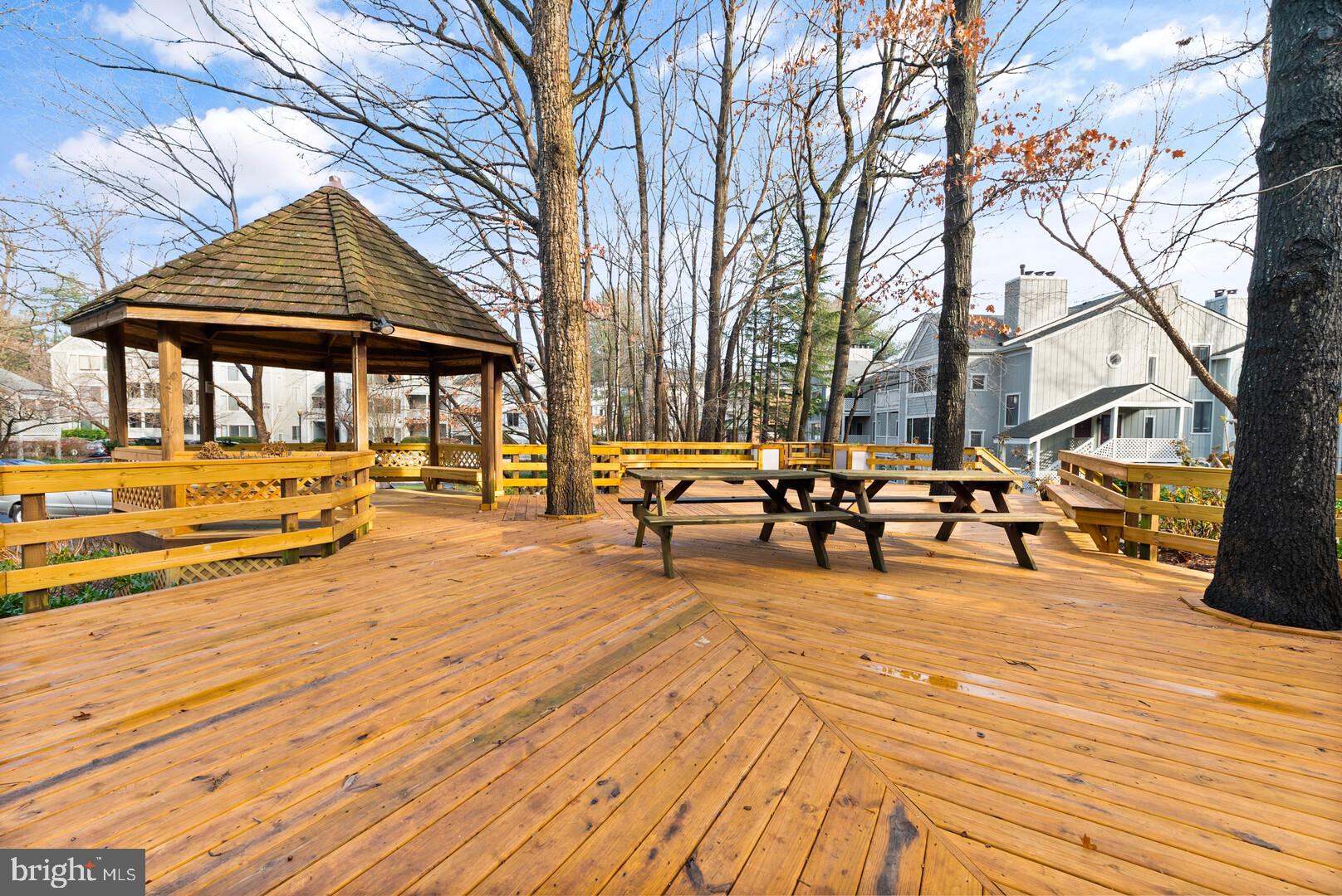 2225 Hunter's Run Drive Reston, VA 20191 - Photo 23 of 26 Community Area