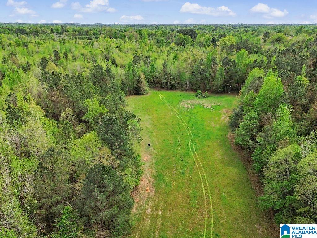 342 Mockingbird Road Greensboro, AL 36744 - Photo 59 of 60