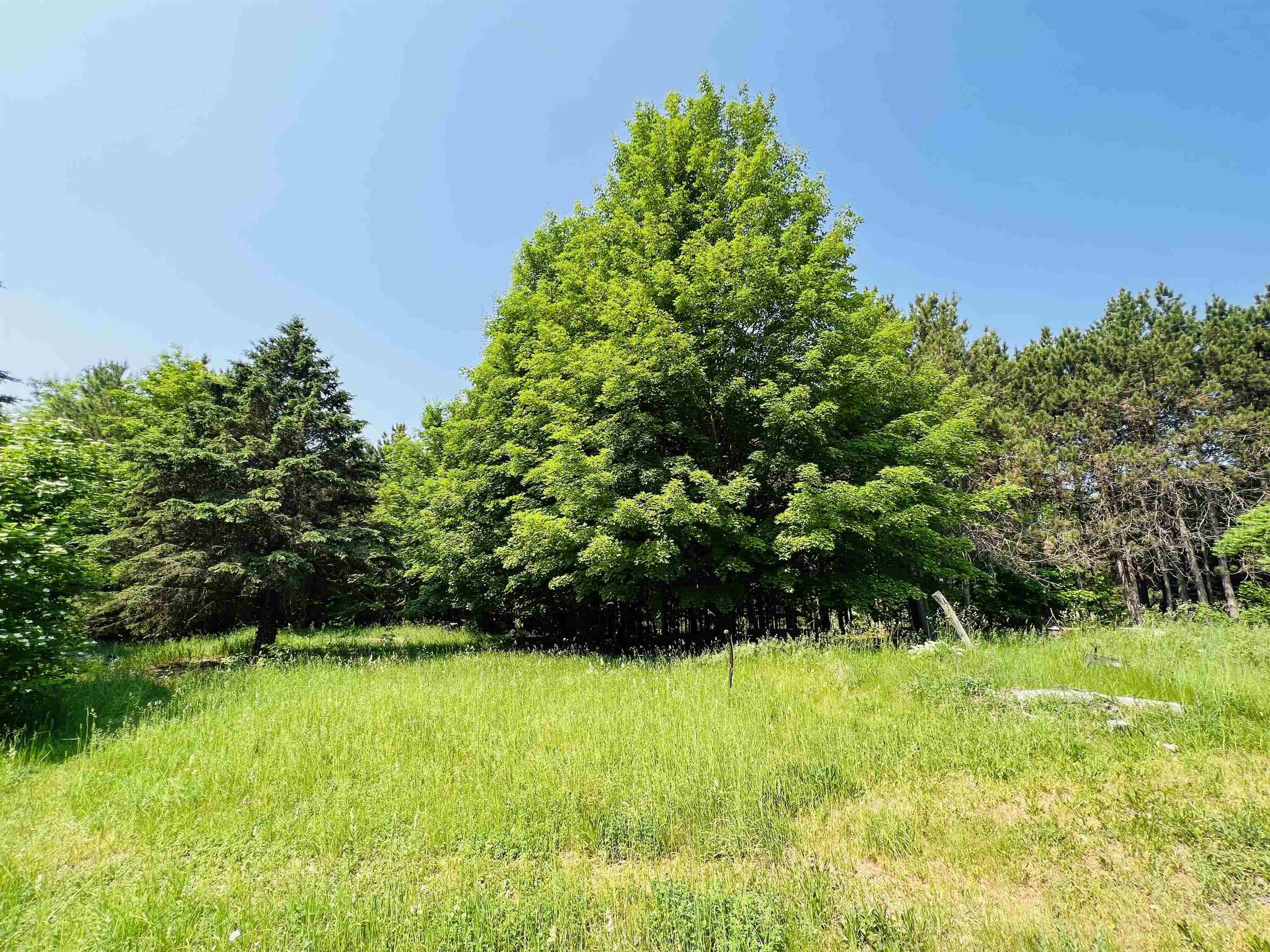 731 West Hlavka Road Maple City, MI 49664 - Photo 26 of 50 1911550-25.JPG