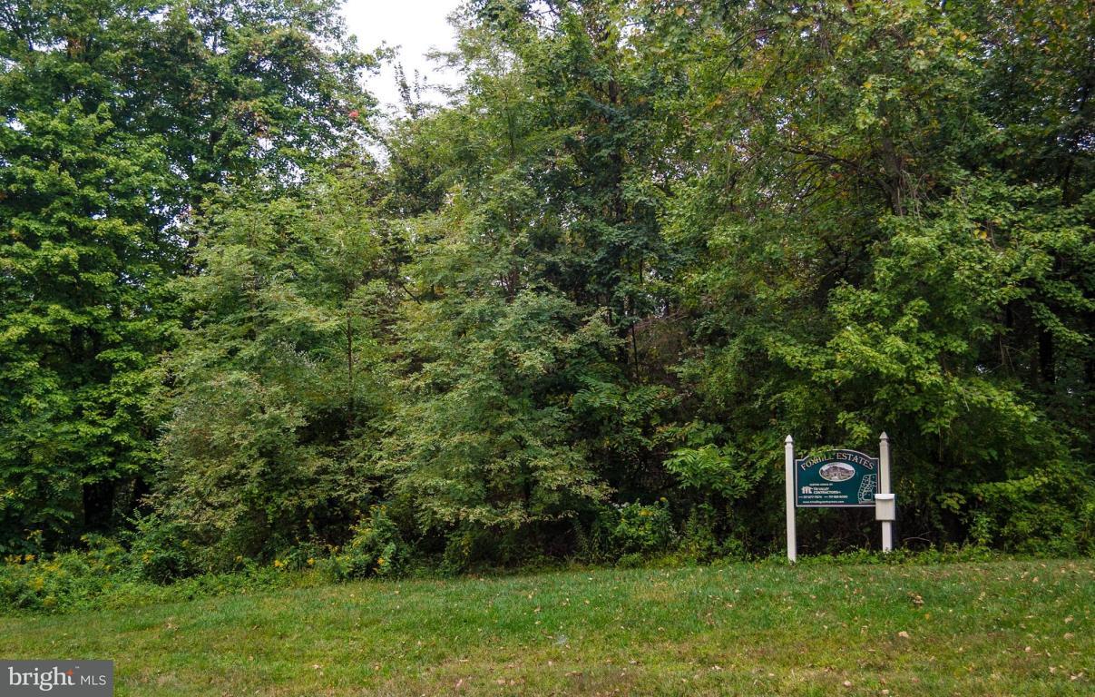 Lot 4 Fox Road Palmyra, PA 17078 - Photo 1 of 3 Gallery Image 1
