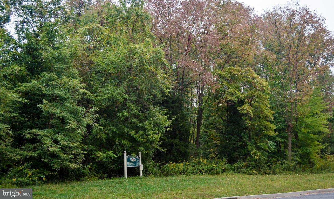 Lot 4 Fox Road Palmyra, PA 17078 - Photo 2 of 3 Gallery Image 2