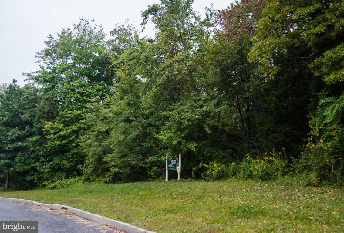 Lot 4 Fox Road Palmyra, PA 17078 - Photo 3 of 3 Gallery Image 3