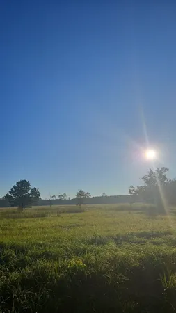 $185,000 | 725 County Road, Buna, TX 77612