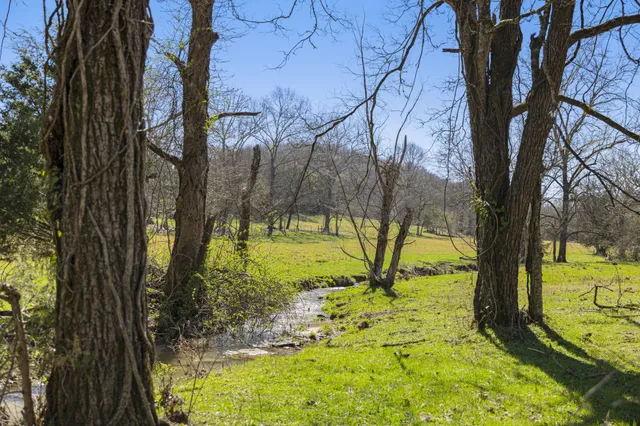 a view of swimming pool