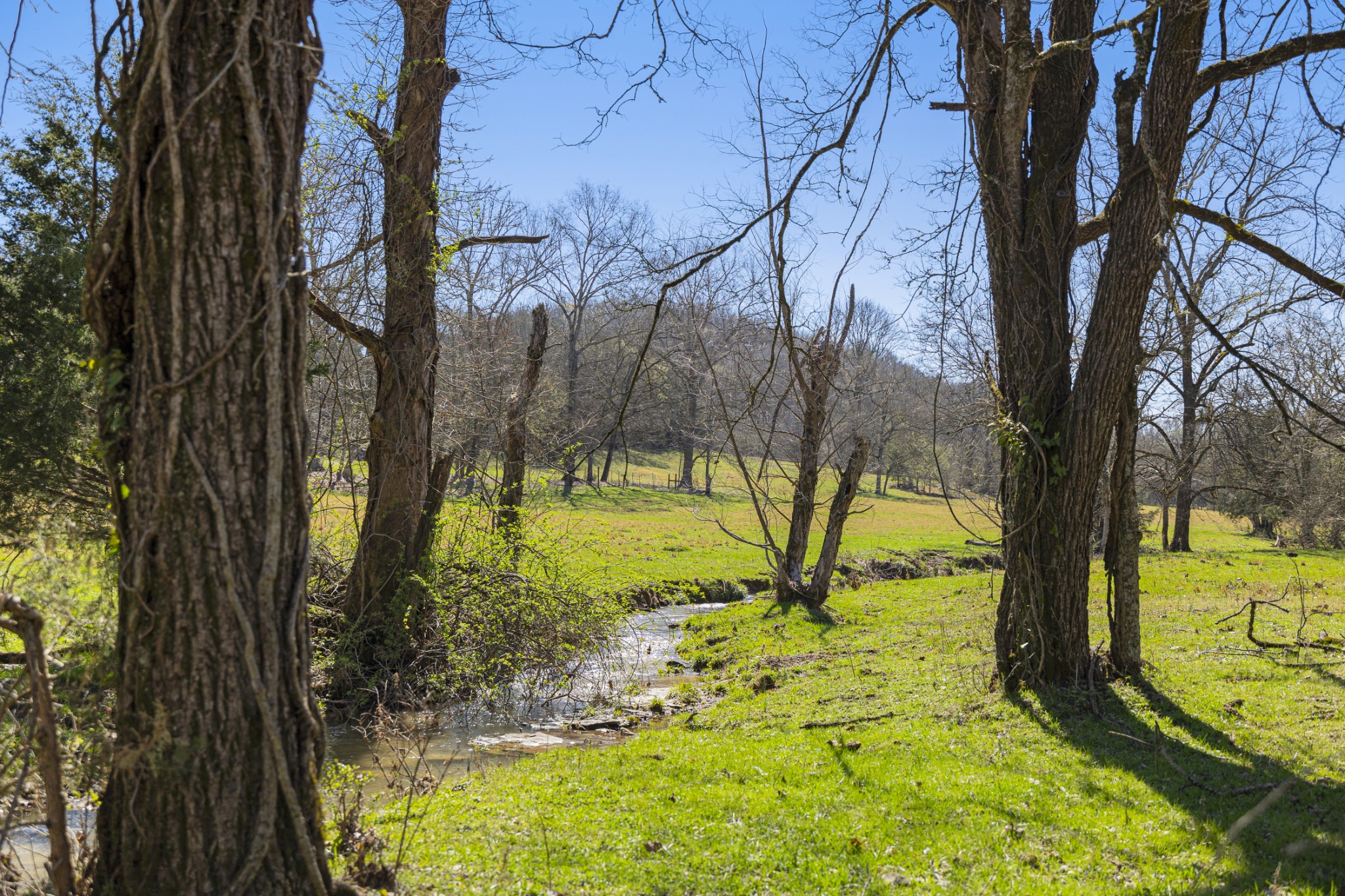 a view of swimming pool