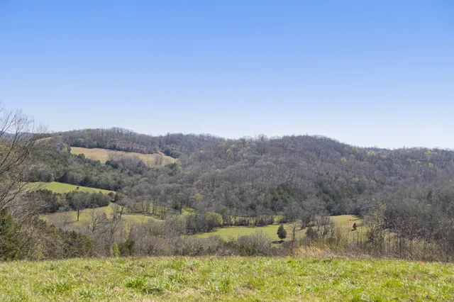 a view of a couches in front of a house