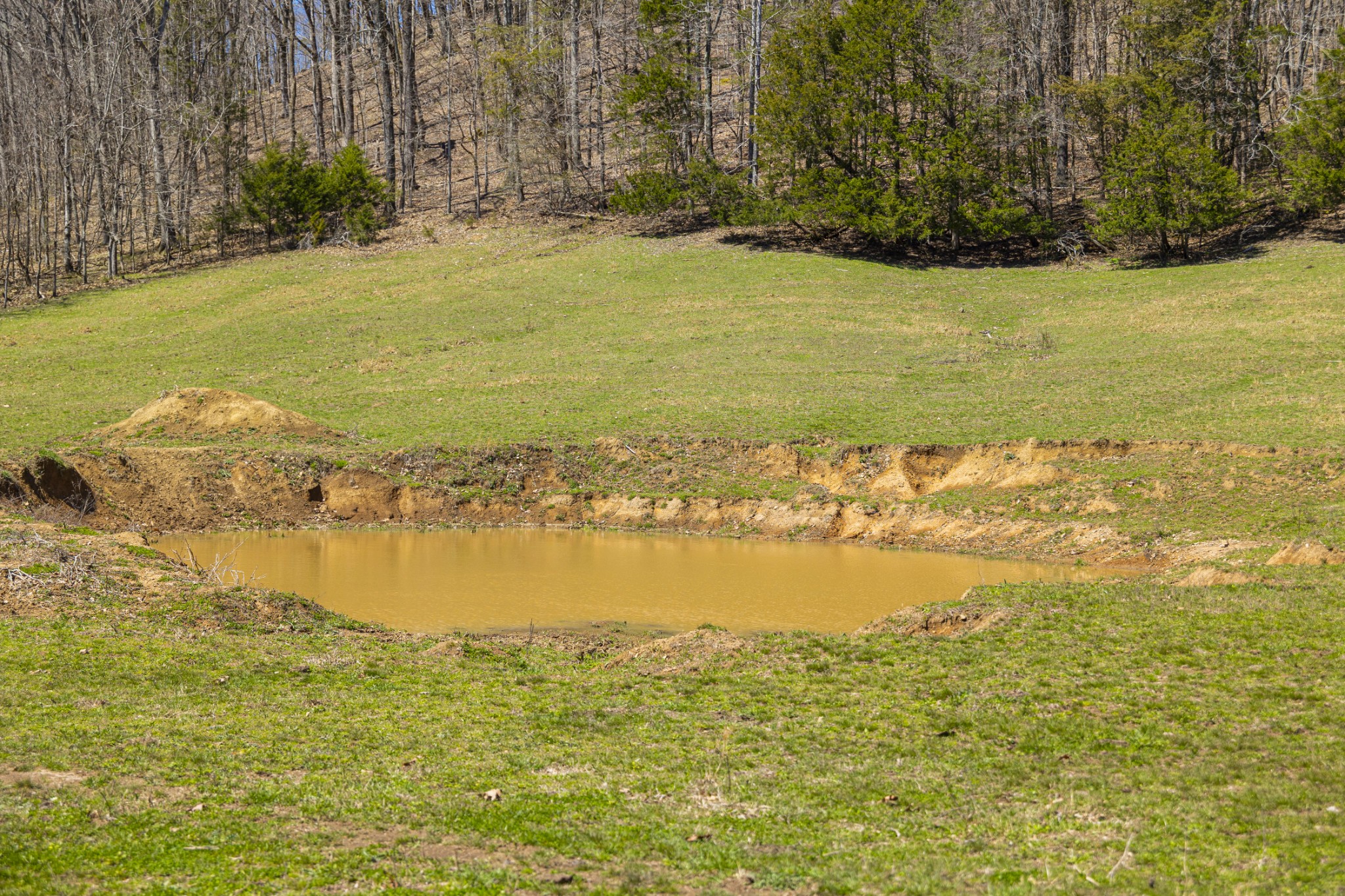 30 King Hollow Road Frankewing, TN 38459 - Photo 14 of 49 a view of an ocean