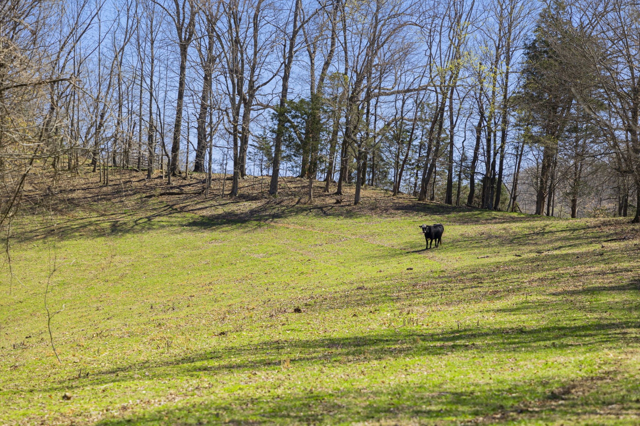 30 King Hollow Road Frankewing, TN 38459 - Photo 15 of 49 a view of outdoor space with swimming pool
