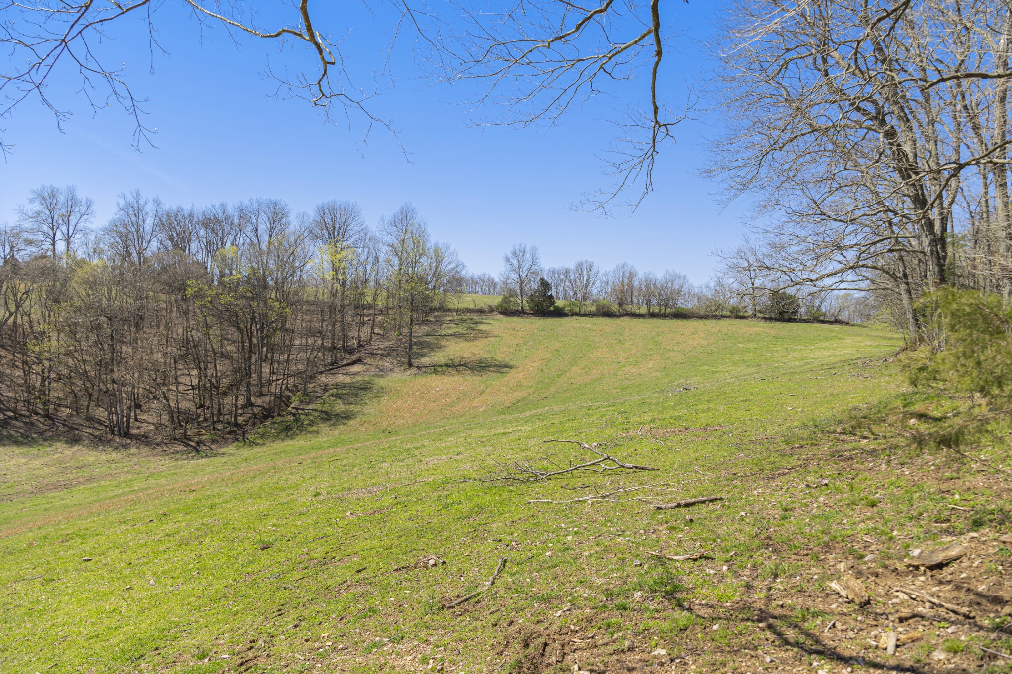30 King Hollow Road Frankewing, TN 38459 - Photo 16 of 49 a view of an ocean view