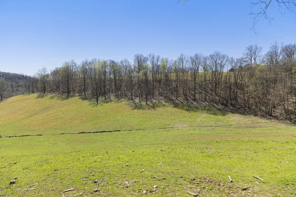 a view of a yard with an ocean view