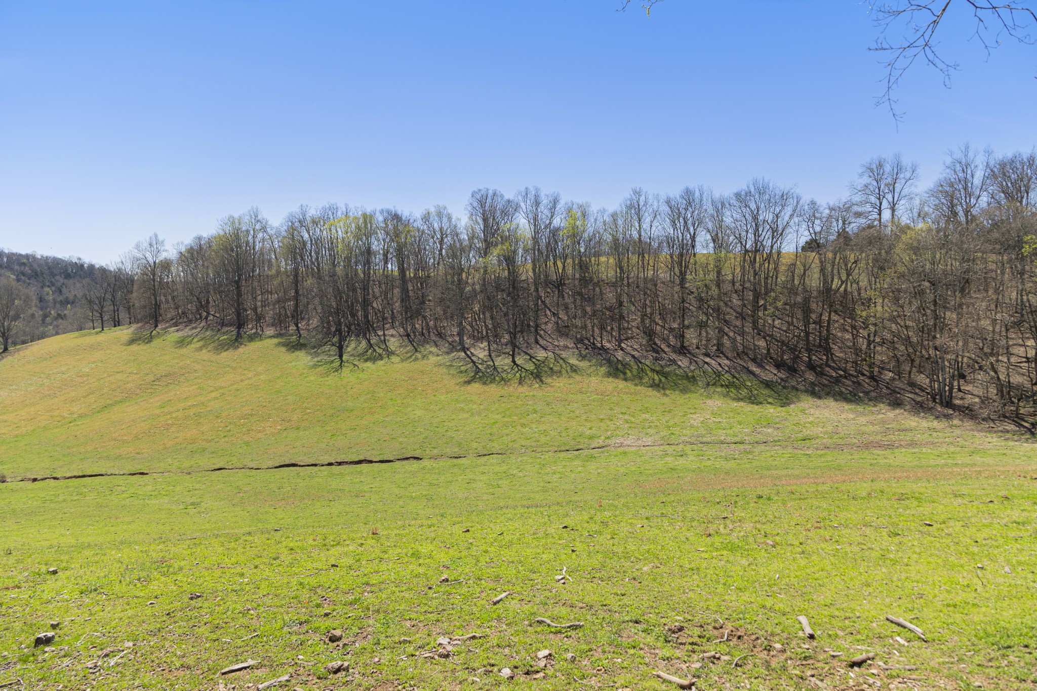 30 King Hollow Road Frankewing, TN 38459 - Photo 17 of 49 a view of a yard with an ocean view