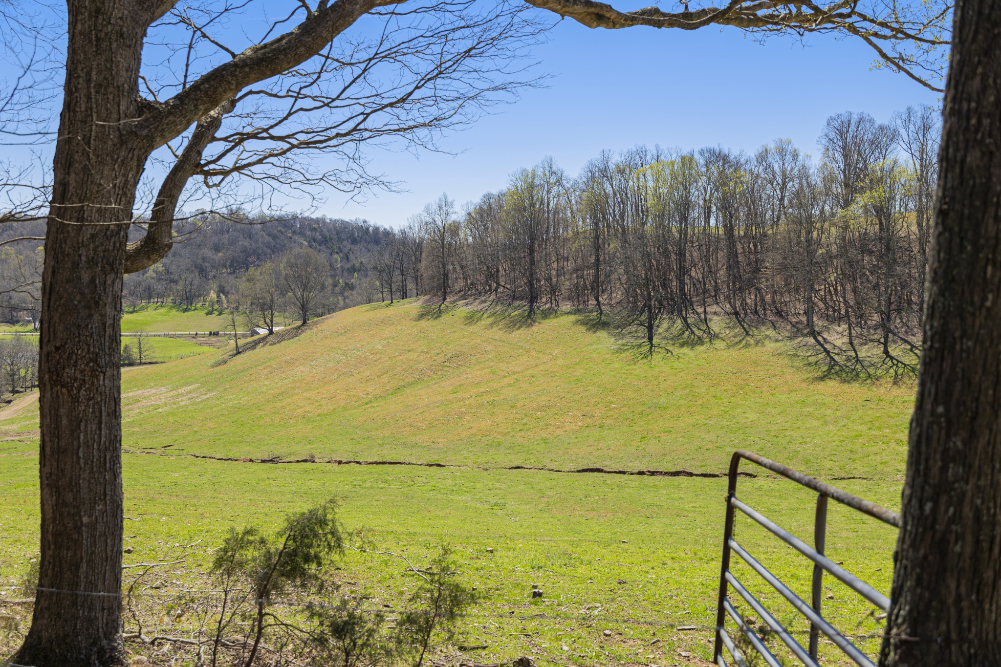 30 King Hollow Road Frankewing, TN 38459 - Photo 18 of 49 a view of an ocean and a yard