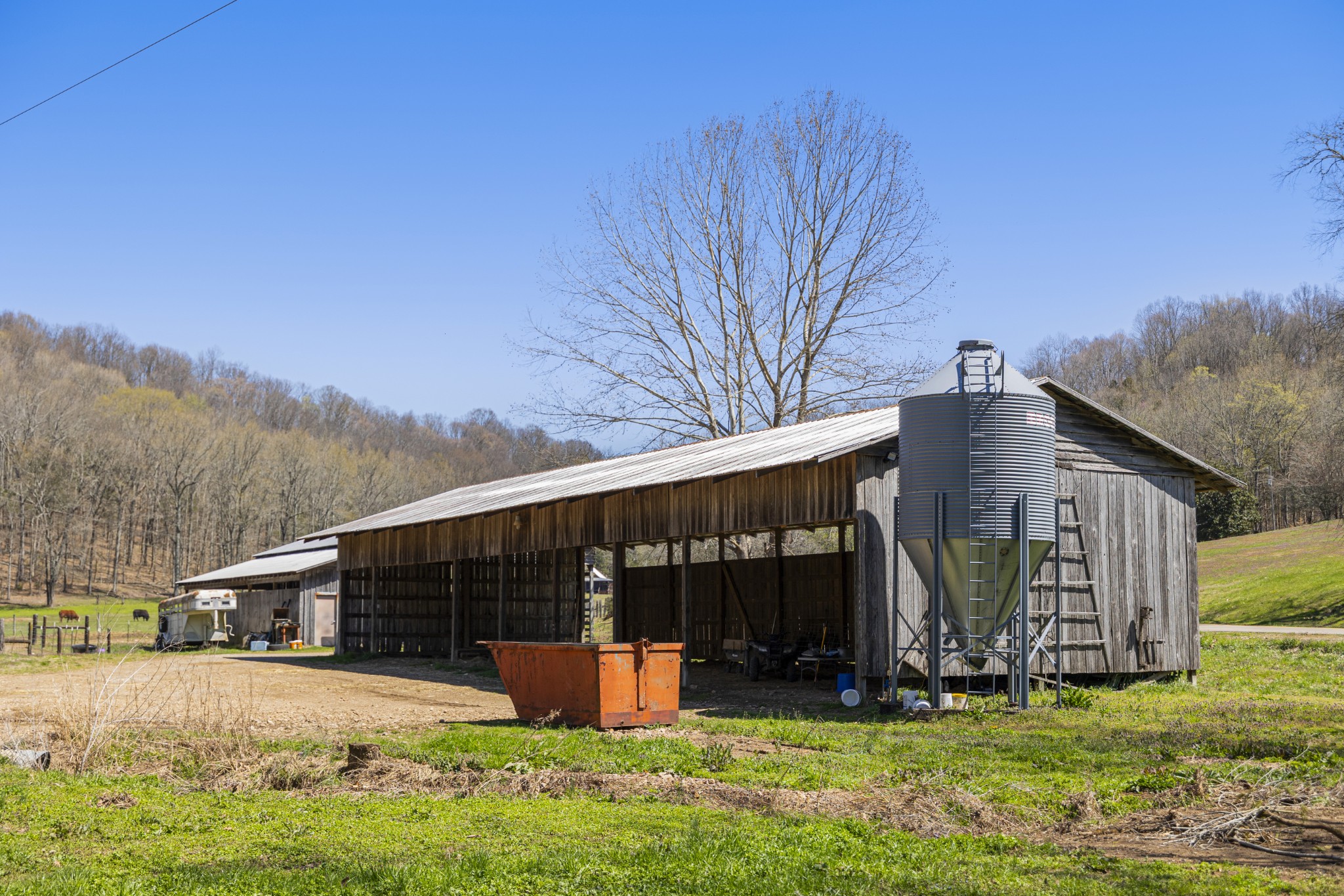 30 King Hollow Road Frankewing, TN 38459 - Photo 23 of 49 a front view of house with yard and trees in the background