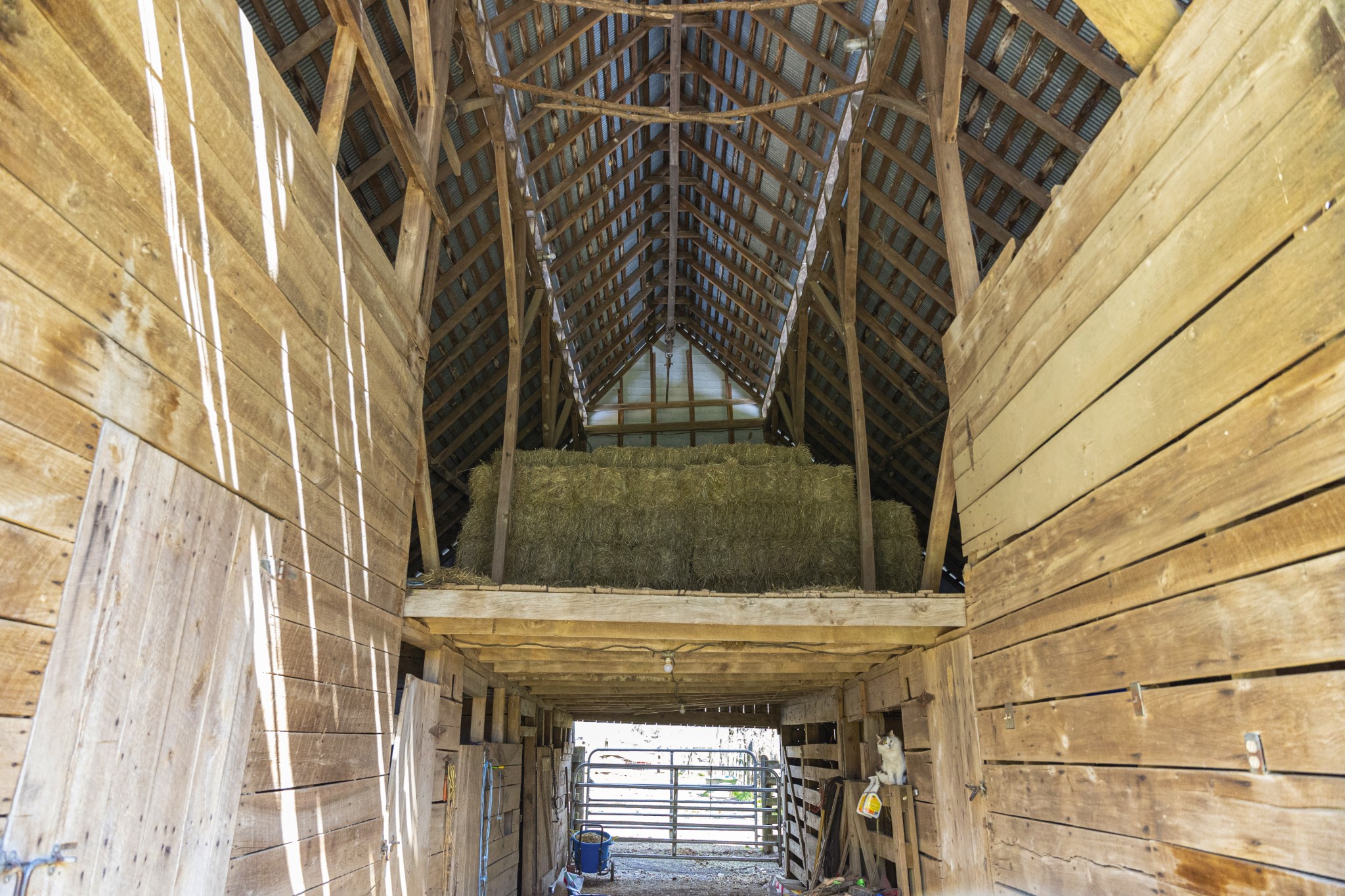 30 King Hollow Road Frankewing, TN 38459 - Photo 25 of 49 a view of entryway