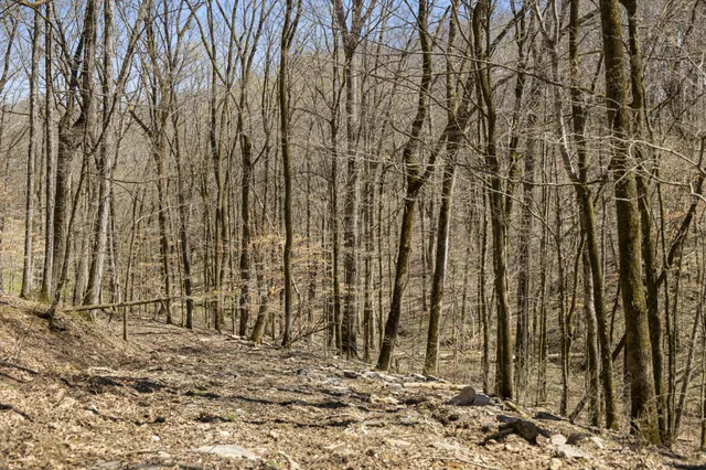 a view of a backyard of a house