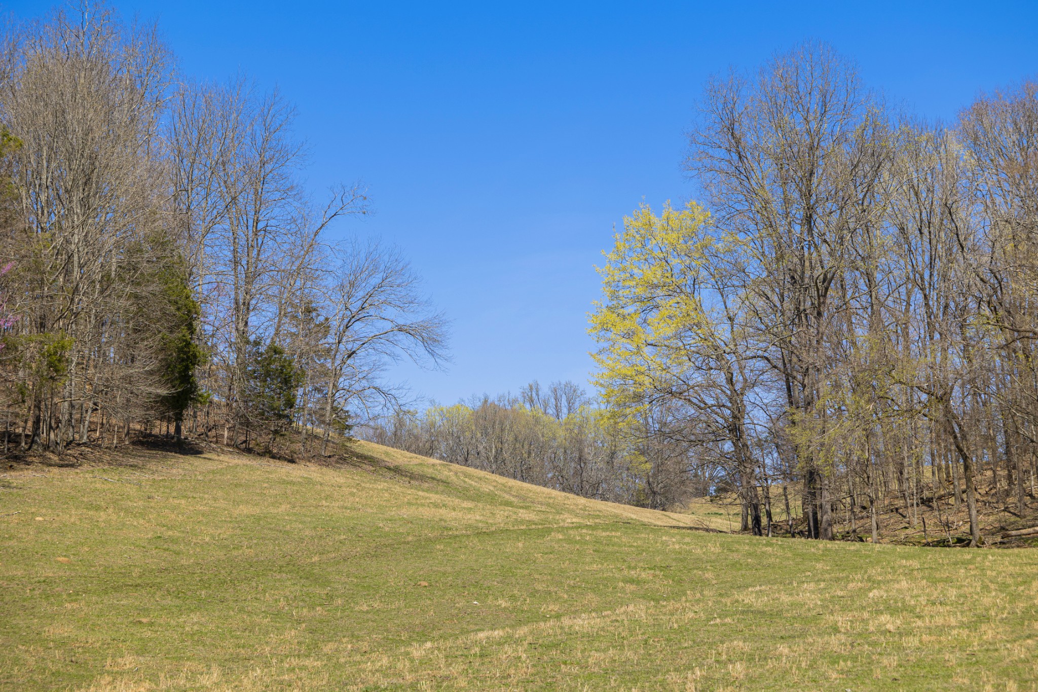 30 King Hollow Road Frankewing, TN 38459 - Photo 28 of 49 a view of a yard with basketball court