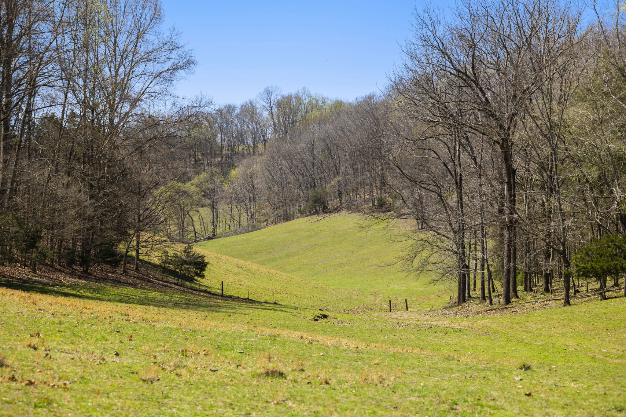 30 King Hollow Road Frankewing, TN 38459 - Photo 29 of 49 a view of swimming pool
