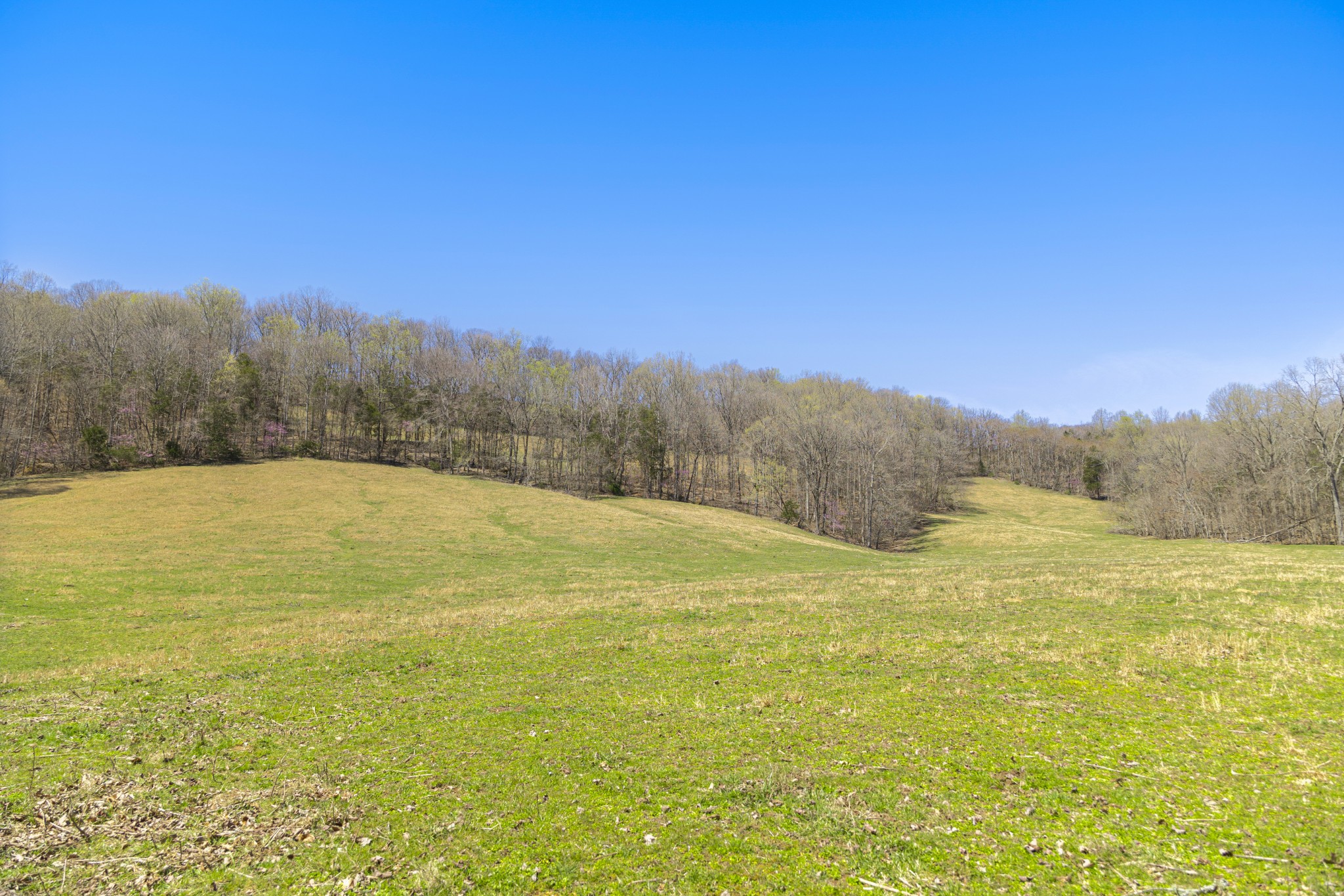 30 King Hollow Road Frankewing, TN 38459 - Photo 31 of 49 a view of an ocean view